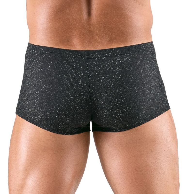 Boxer Shimmering silver