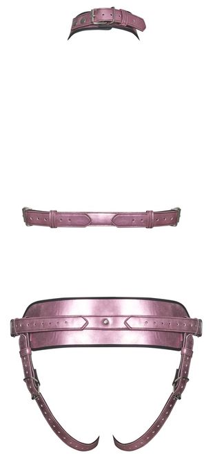 Hovedbilde Harness Set - Rosa
