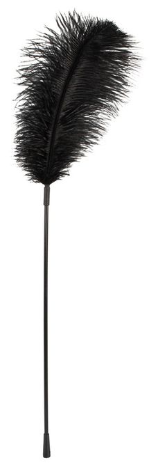 Hovedbilde Feather Wand